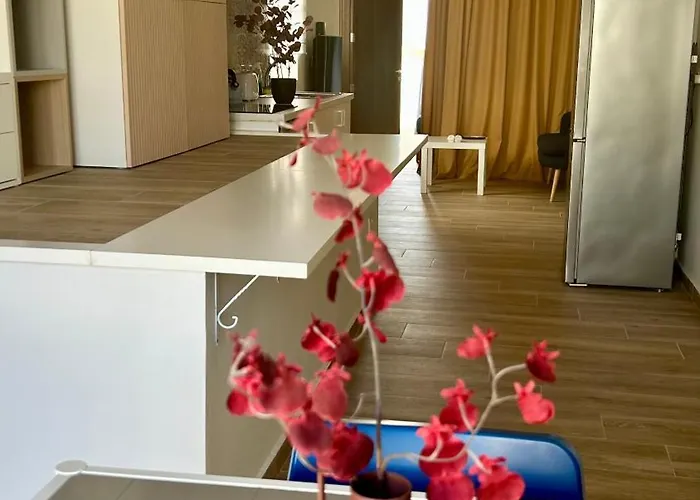 Anton Court アパート